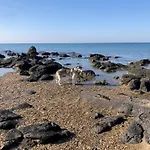 Les Lavandines, Le Cap D'agde * Agde