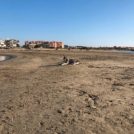 Les Lavandines, Le Cap D'agde Villa