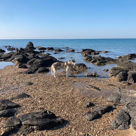 Les Lavandines, Le Cap D'agde