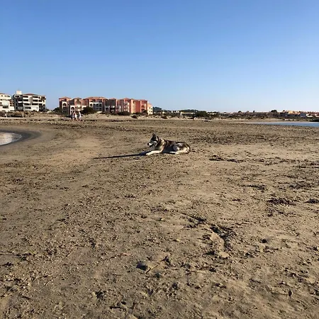 Willa Les Lavandines, Le Cap D'agde Agde