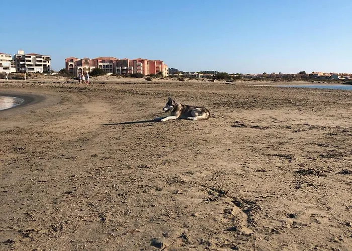 Les Lavandines, Le Cap D'agde Willa