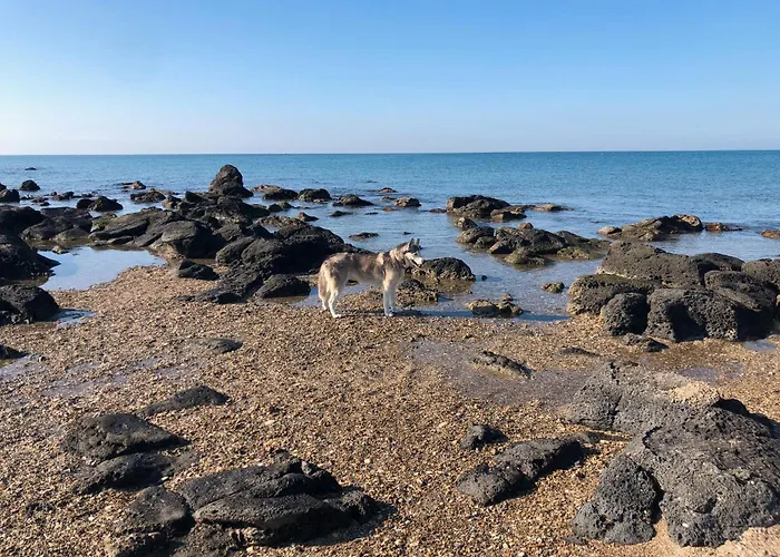 Les Lavandines, Le Cap D'agde